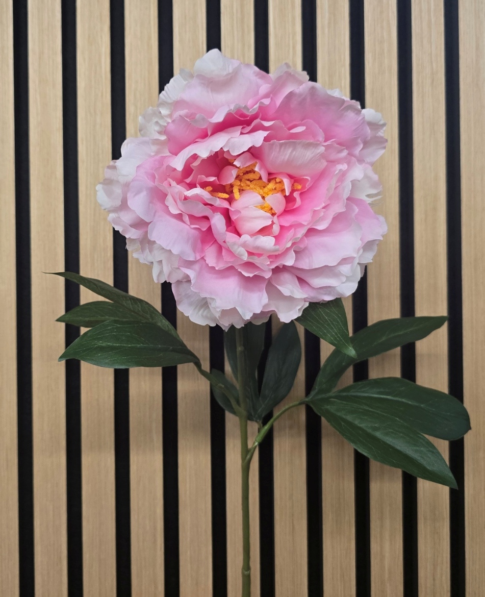 ECO Peony Stem 80cm Light Pink
