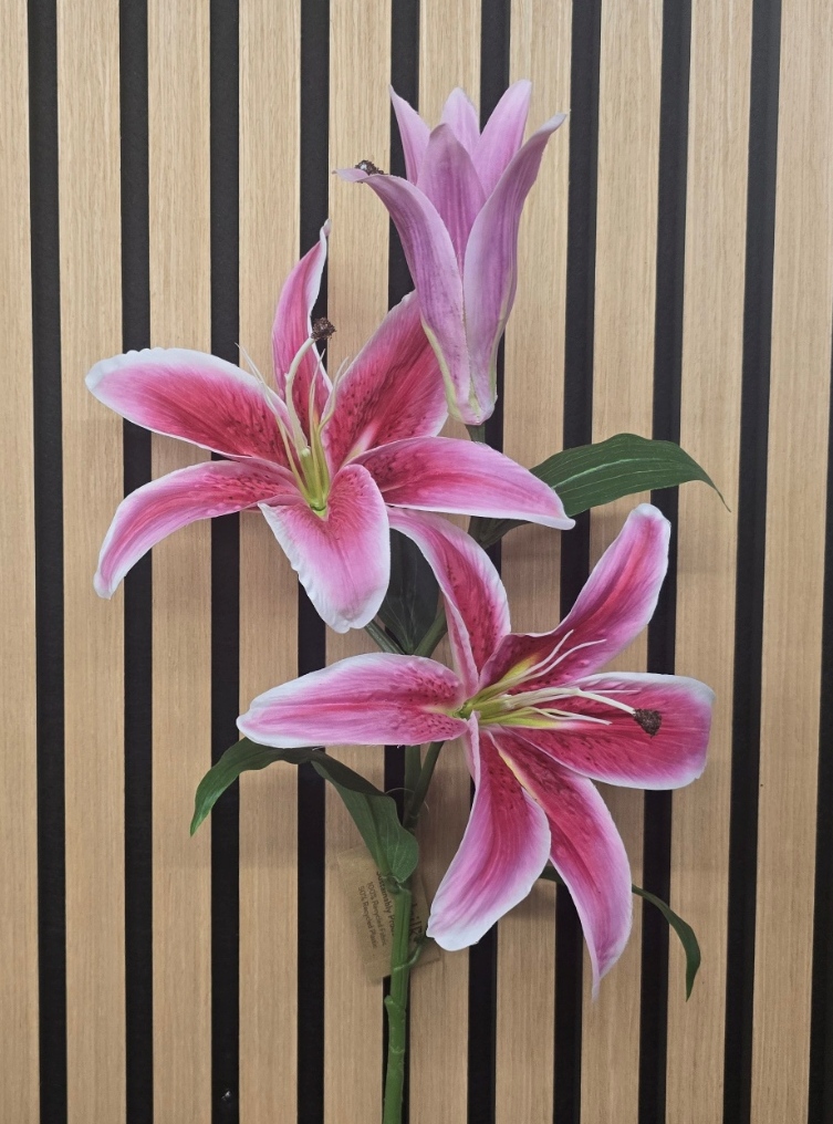 ECO Casablanca Lily Spray 88cm Rubrum
