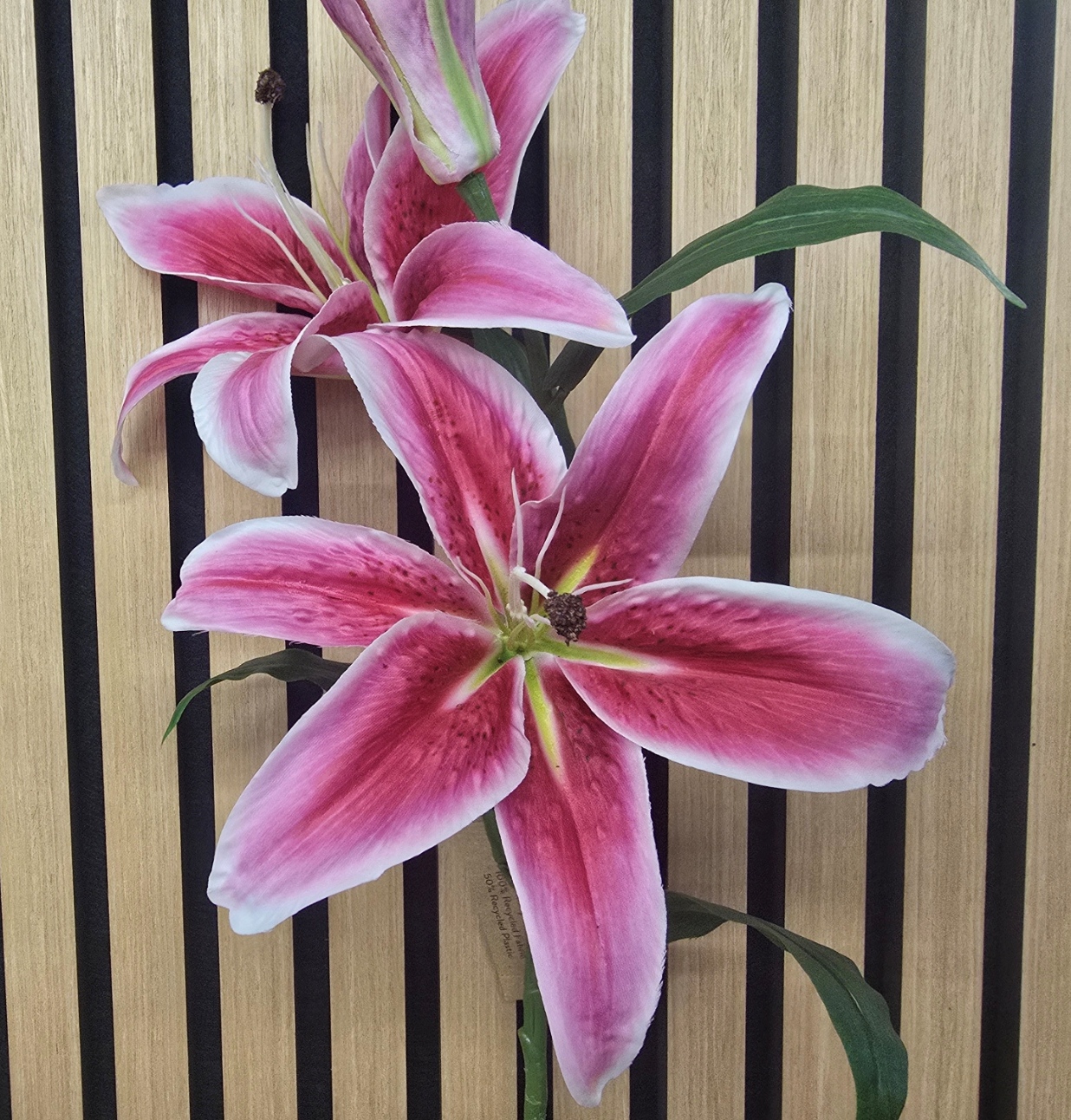 ECO Casablanca Lily Spray 88cm Rubrum