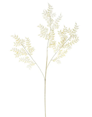 Essential Dry Look Bleached Ruscus 102cm