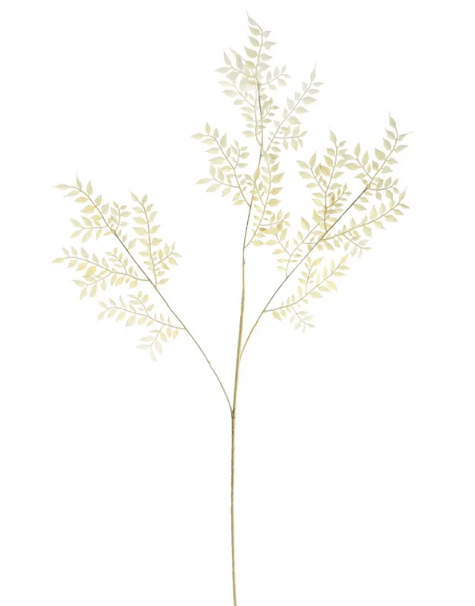 Essential Dry Look Bleached Ruscus 102cm