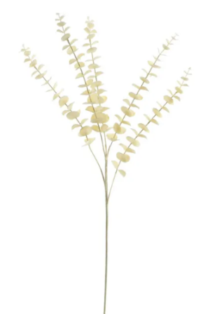 Essential Dry Look Bleached Eucalyptus Stem 84cm