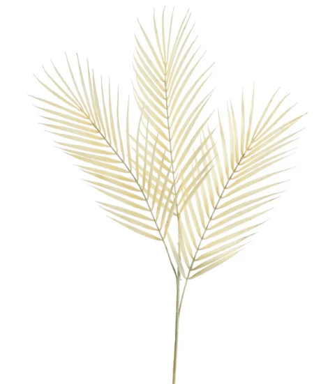 Essential Dry Look Bleached Fern Leaf 70cm