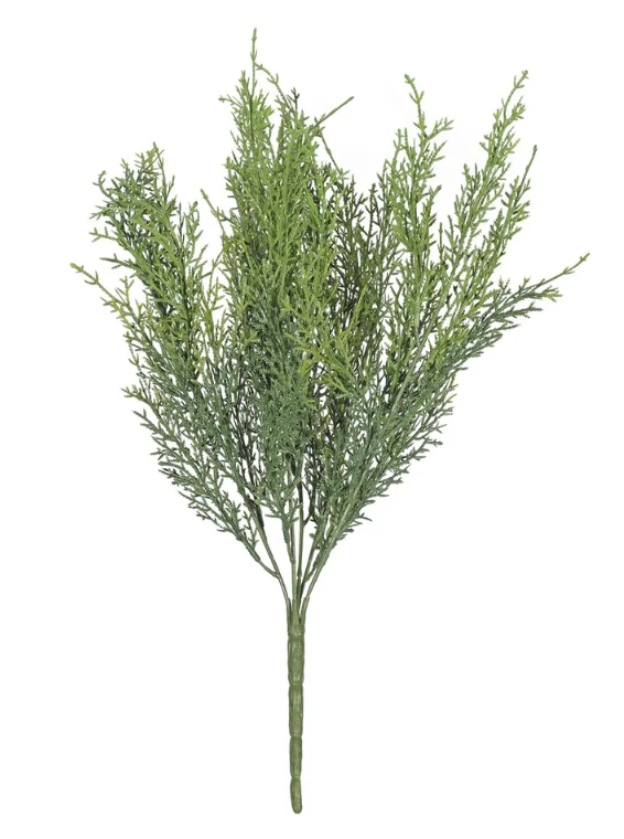 Dwarf Conifer 45cm