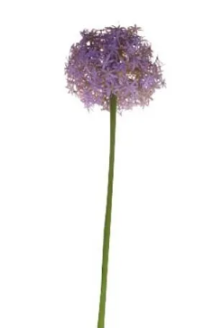 76cm Single Allium Lavender-0
