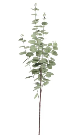 Eucalyptus Stem - Grey 100cm