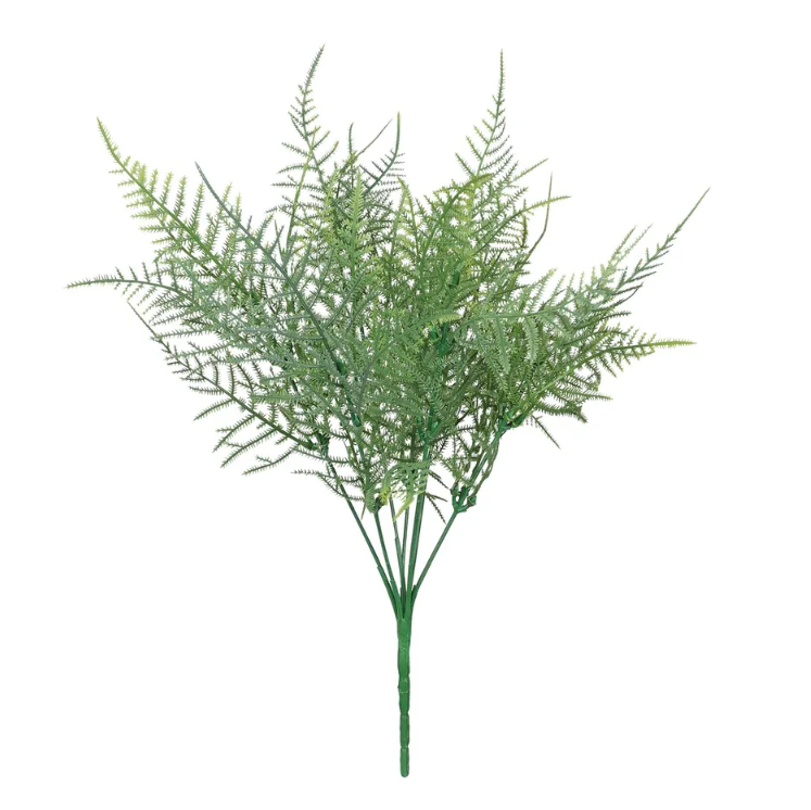 Essential Asparagus Fern Green 35cm-0