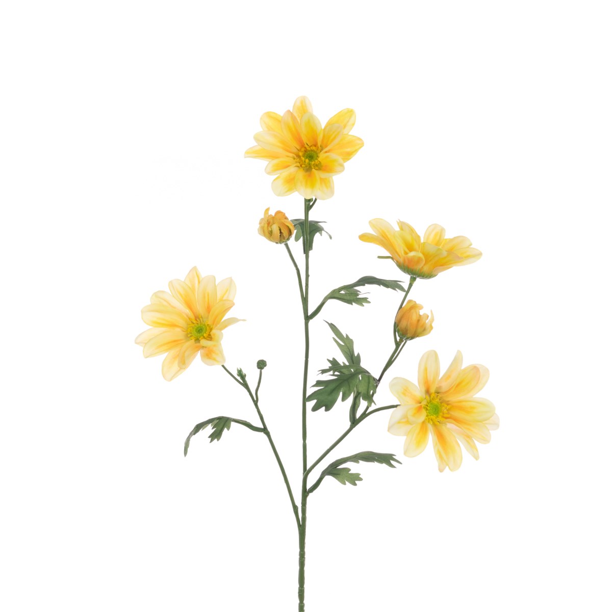 ECO Gazania Daisy Spray 66cm Yellow-0