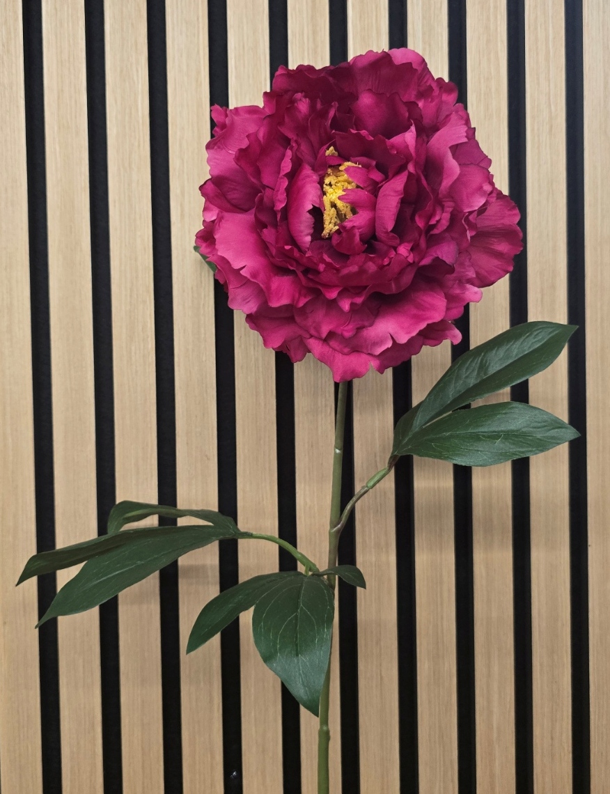 ECO Peony Stem 80cm Beauty