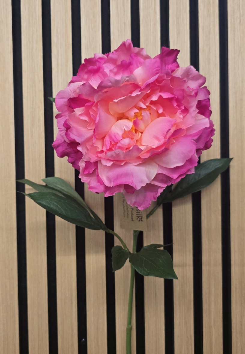 ECO Peony Stem 80cm Dark Pink