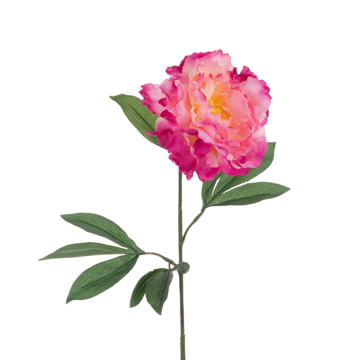 ECO Peony Stem 80cm Dark Pink-0