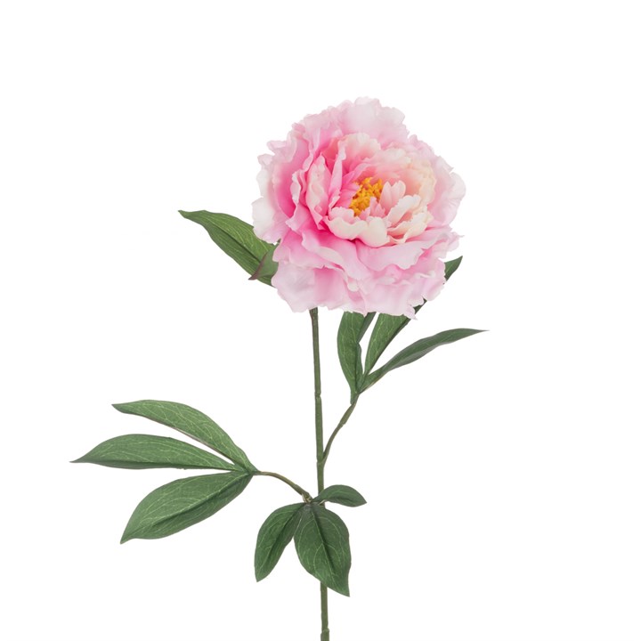 ECO Peony Stem 80cm Light Pink-0