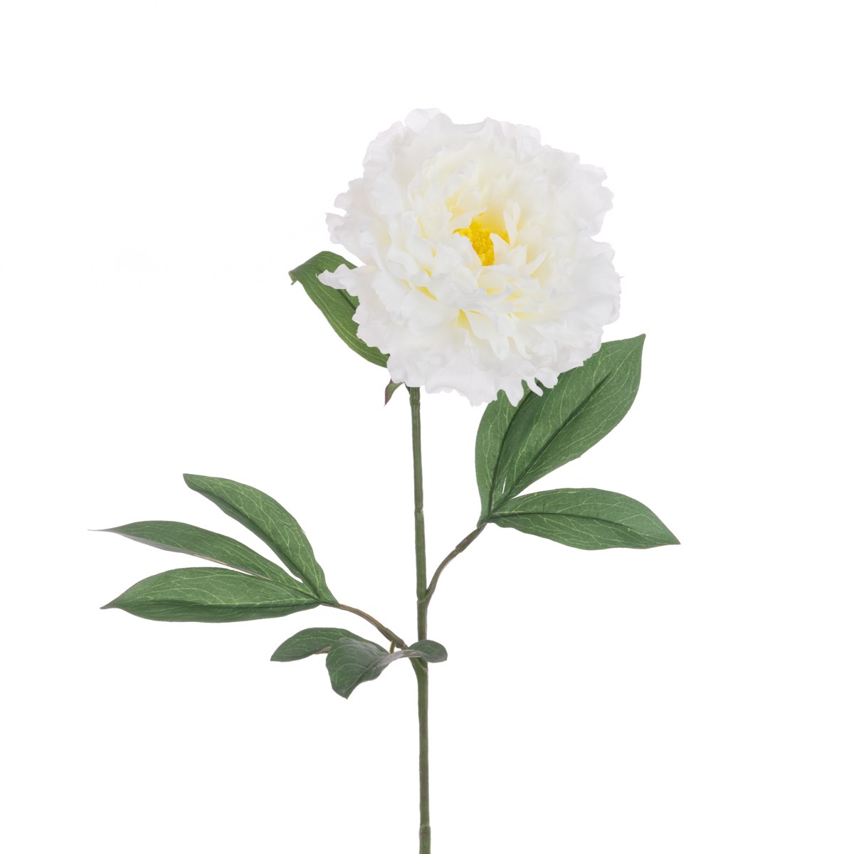 ECO Peony Stem 80cm White-0
