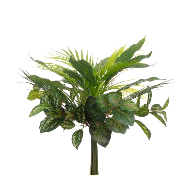 Dracaena Foliage Mix Bundle 50cm-0