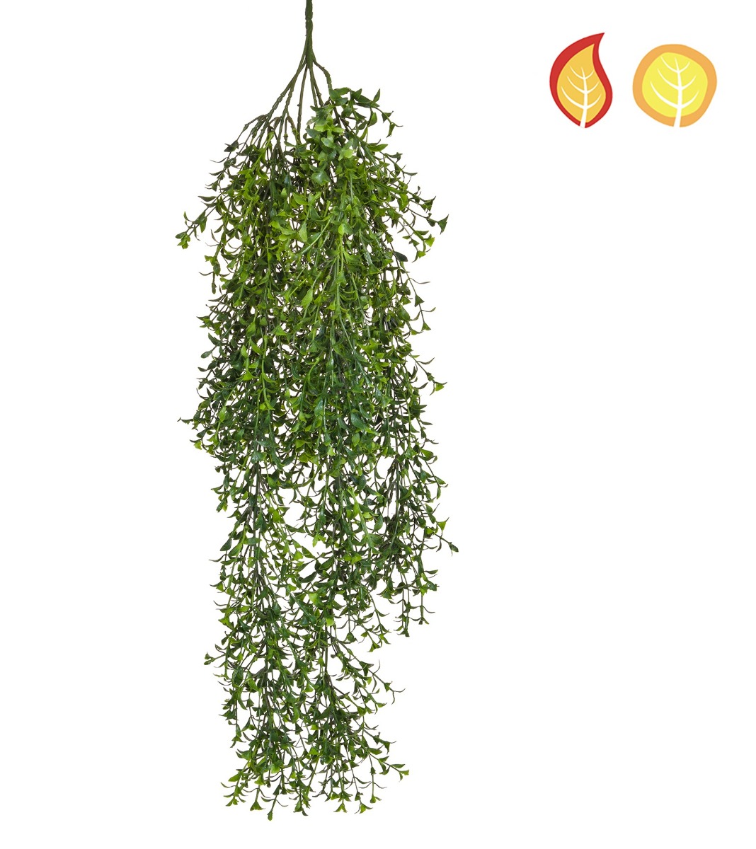 Artificial Feather Fern 80cm – FR & UV Bring soft, elegant greenery to your displays with our Artificial Feather Fern 80cm – FR & UV. Featuring delicate, feathery fronds and realistic green foliage, this premium artificial fern adds natural texture, height and movement to floral arrangements, planters, green walls and decorative displays. Crafted with UV-protected foliage, this artificial feather fern is suitable for both indoor and outdoor use, helping it maintain its vibrant appearance even when exposed to sunlight. It is also flame retardant (FR), making it an ideal choice for commercial environments including hotels, restaurants, offices, retail displays, exhibitions and event venues where fire safety is a priority.