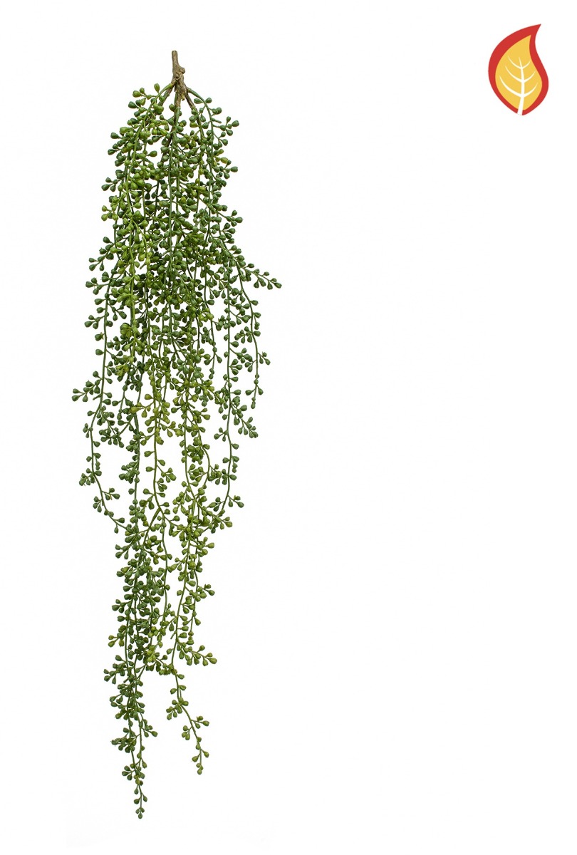 Trailing Senecio 97cm FR-0