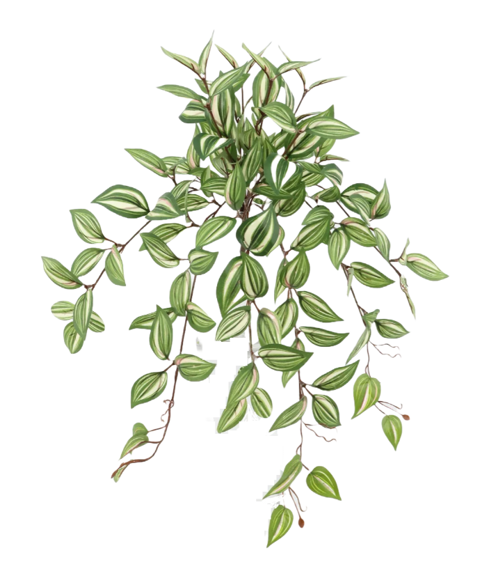 Artificial Tradescantia Hanging Bush Green/Red 57cm-0