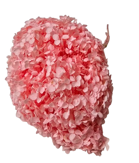 Preserved Hydrangea 25 - 30cm Light Pink-0