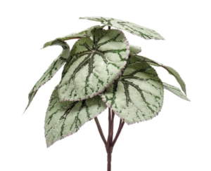 Begonia Leaves Bush Grey 25cm UV Protected-0