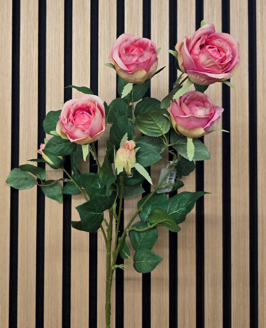 Juliet Rose Spray 70cm Pink