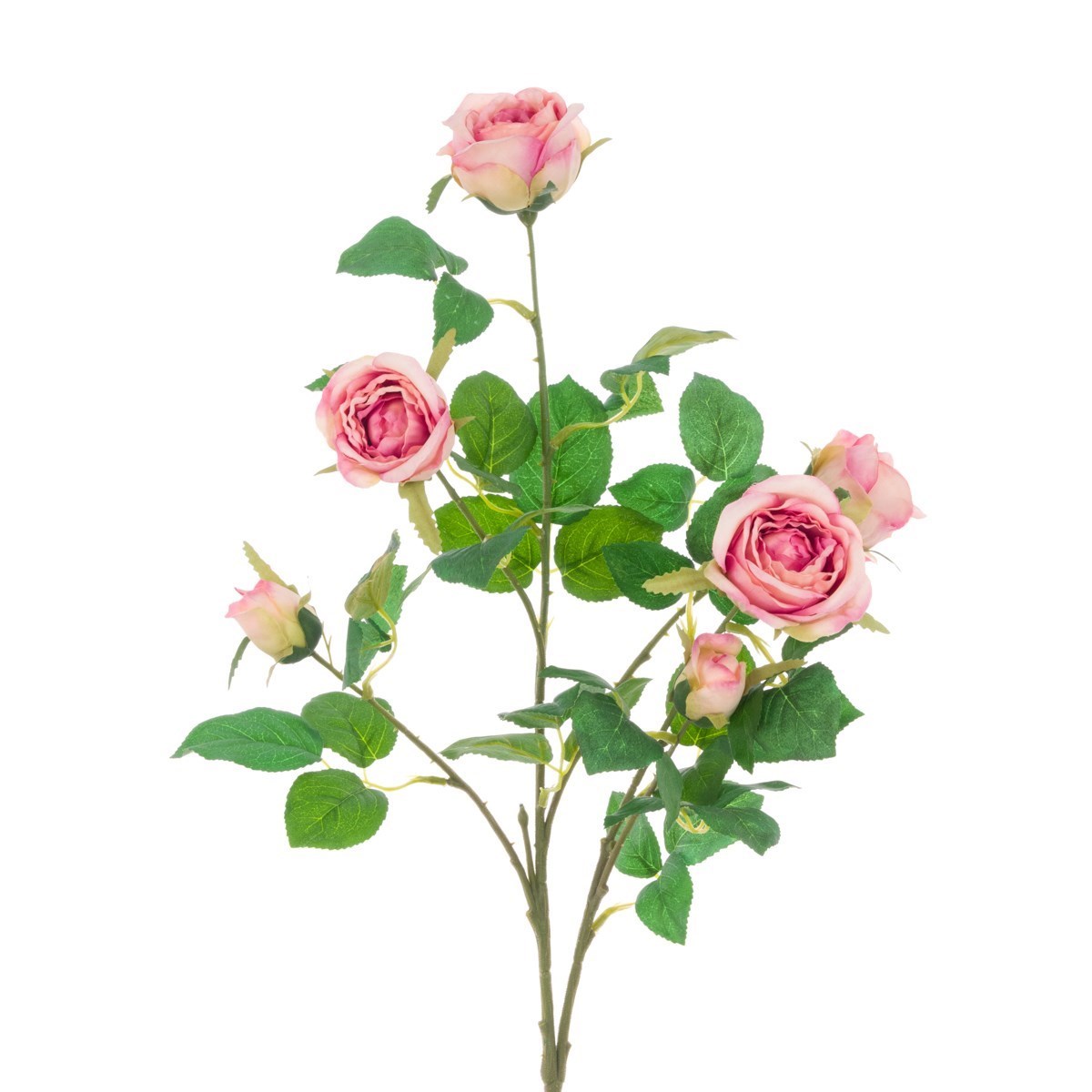 Juliet Rose Spray 70cm Pink-0