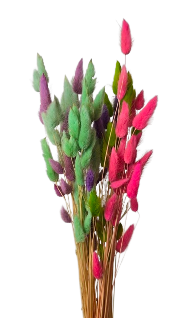 Lagarus Mixed Colours Cold App 50g-0