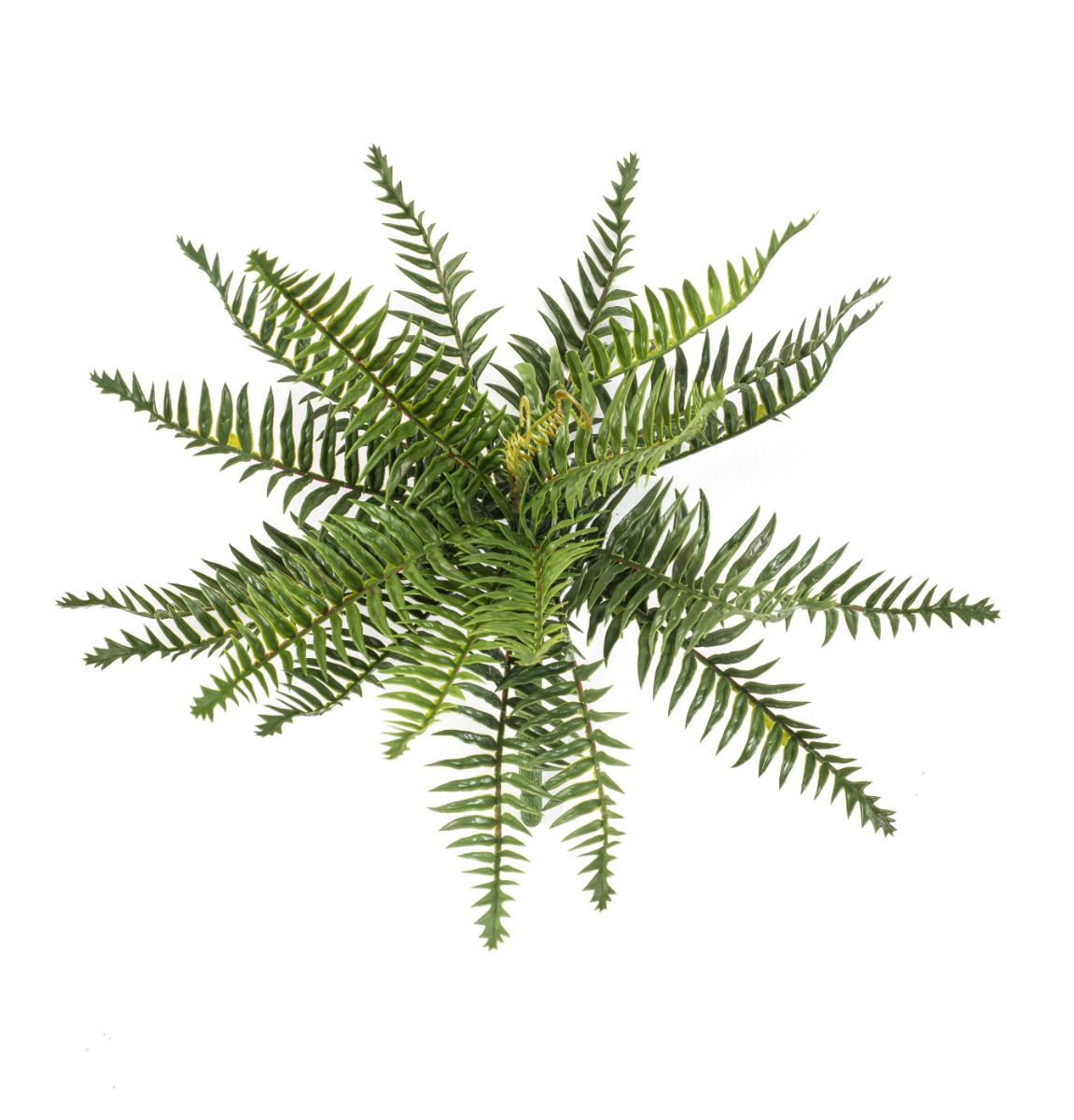 Forest Fern Bush 35cm UV Protected-0