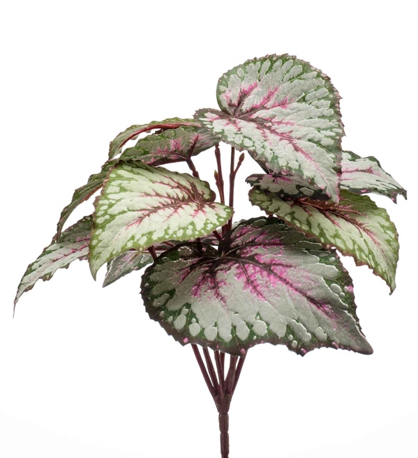Begonia Leaves Bush Grey/Pink 25cm UV Protected-0