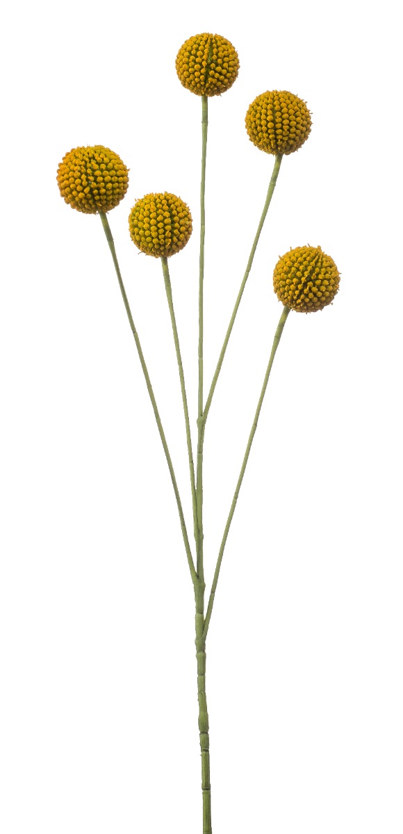 Artificial Craspedia Spray Yellow 72cm-0