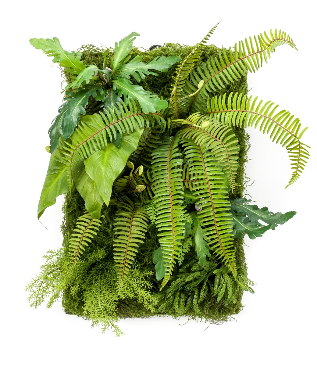 Living Wall 60 x 40cm-0