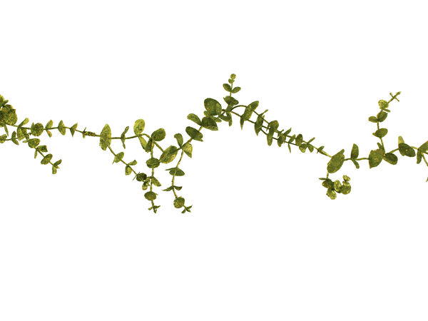 180cm Christmas Eucalyptus Garland Green-0