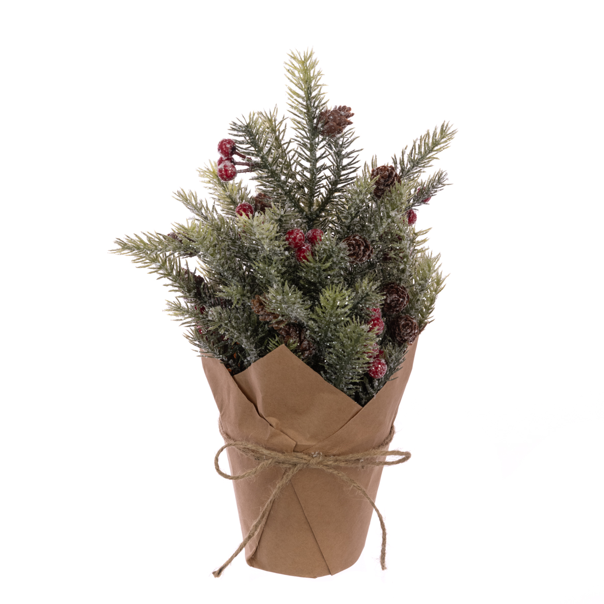 Frosted Pine & Berry In Pot 30cm
