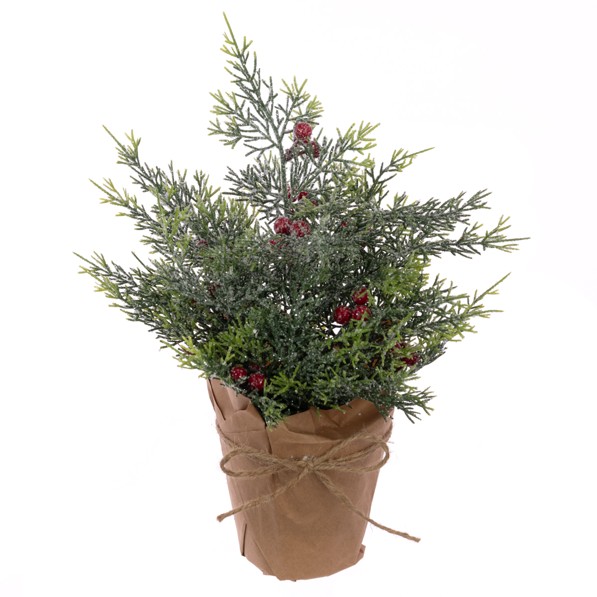 Frosted Cypress W/Berry In Pot 30cm-0