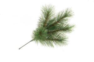 Small Evergreen Mountain Spray (30cm long, 5 tips)-0