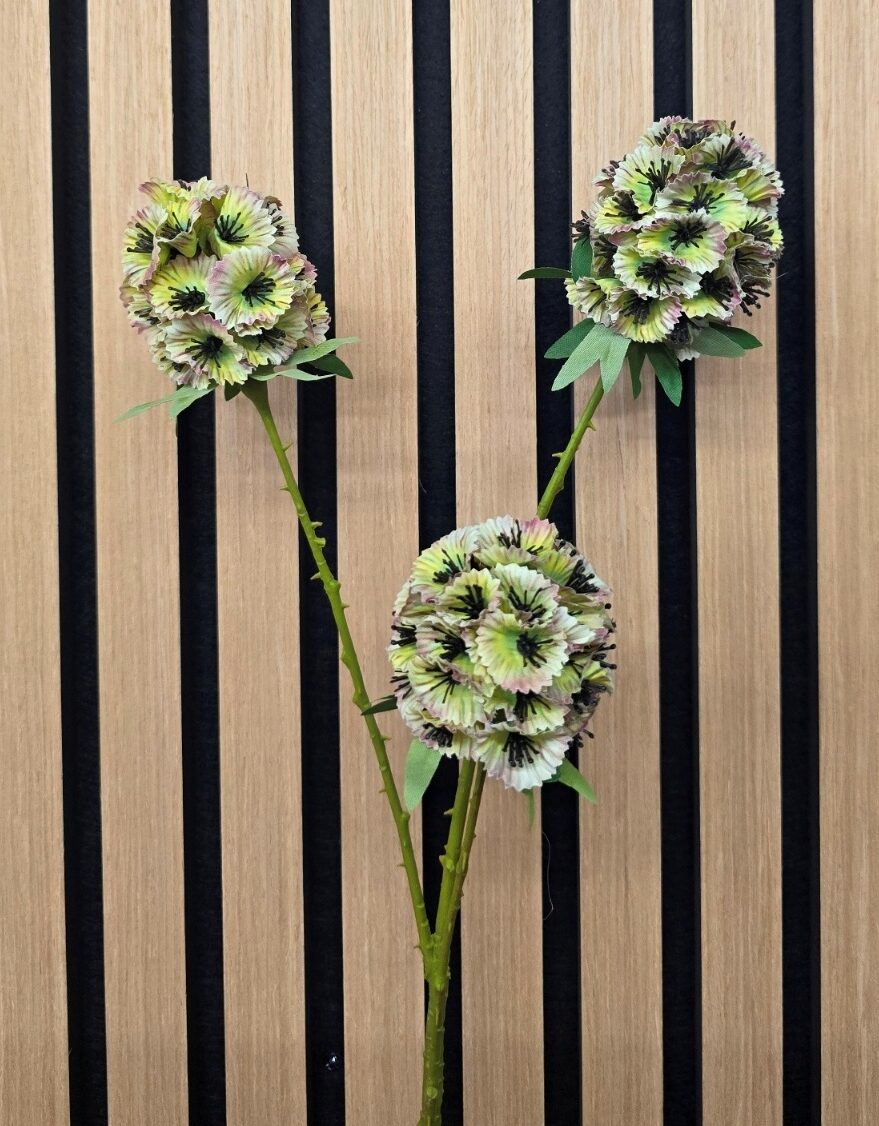 Artificial Scabiosa Stellata – Green (3 heads, 71cm long)