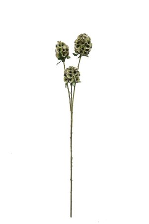 Artificial Scabiosa Stellata - Green (3 heads, 71cm long)-0