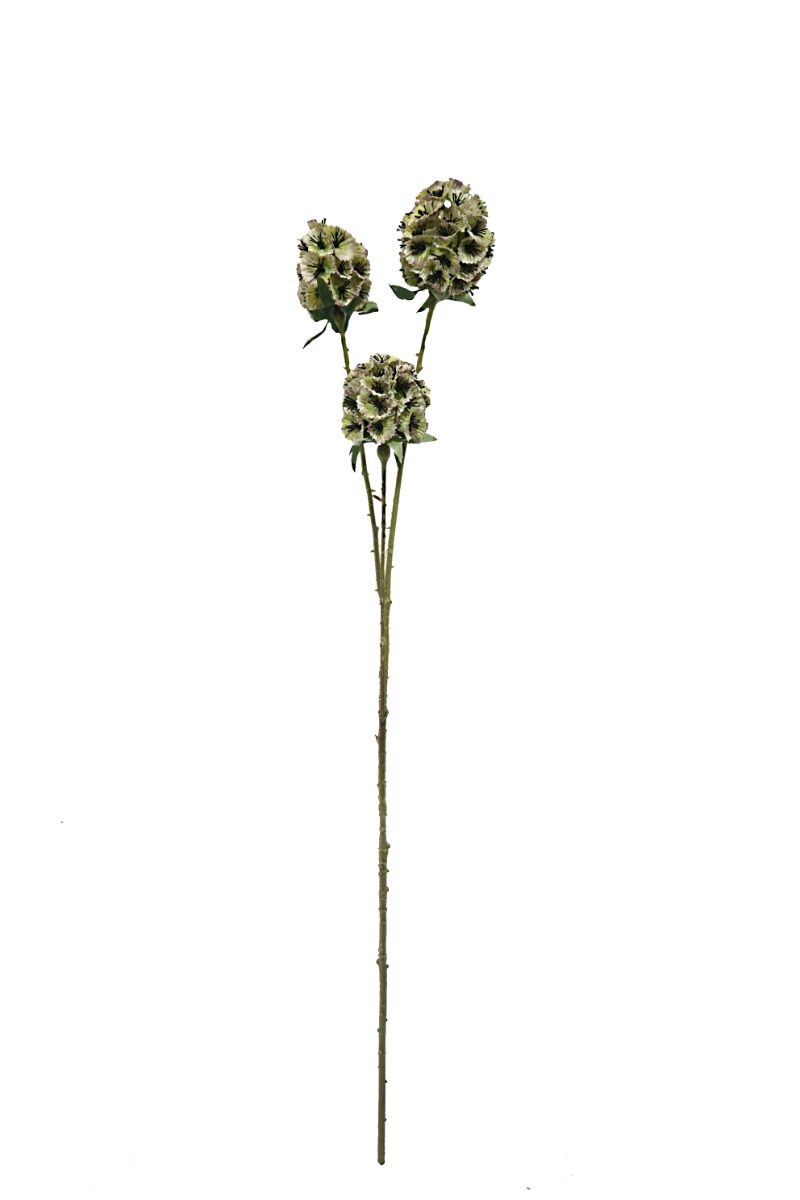 Artificial Scabiosa Stellata - Green (3 heads, 71cm long)-0
