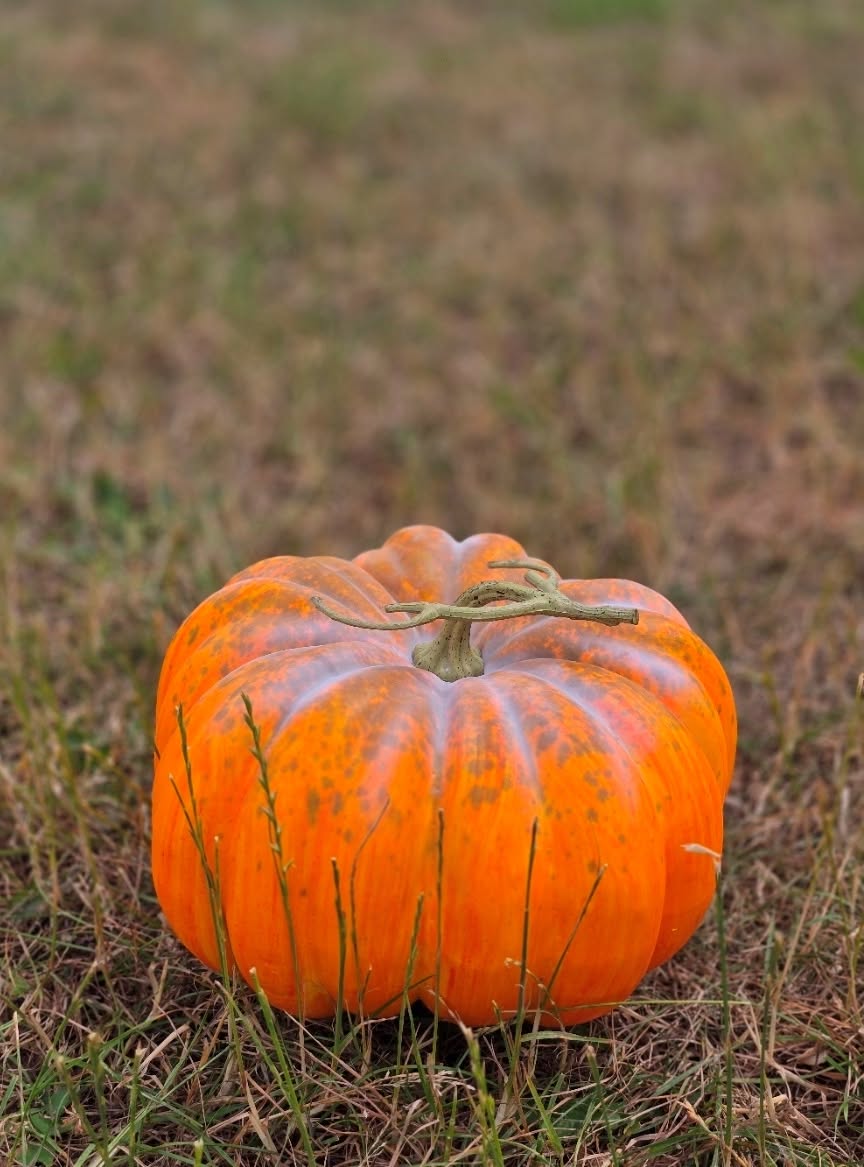 Artificial Pumpkin – Green/Orange (30cm diameter)