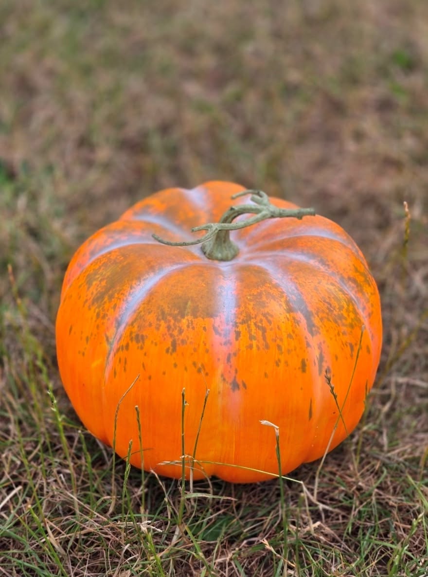 Artificial Pumpkin – Green/Orange (33cm diameter)