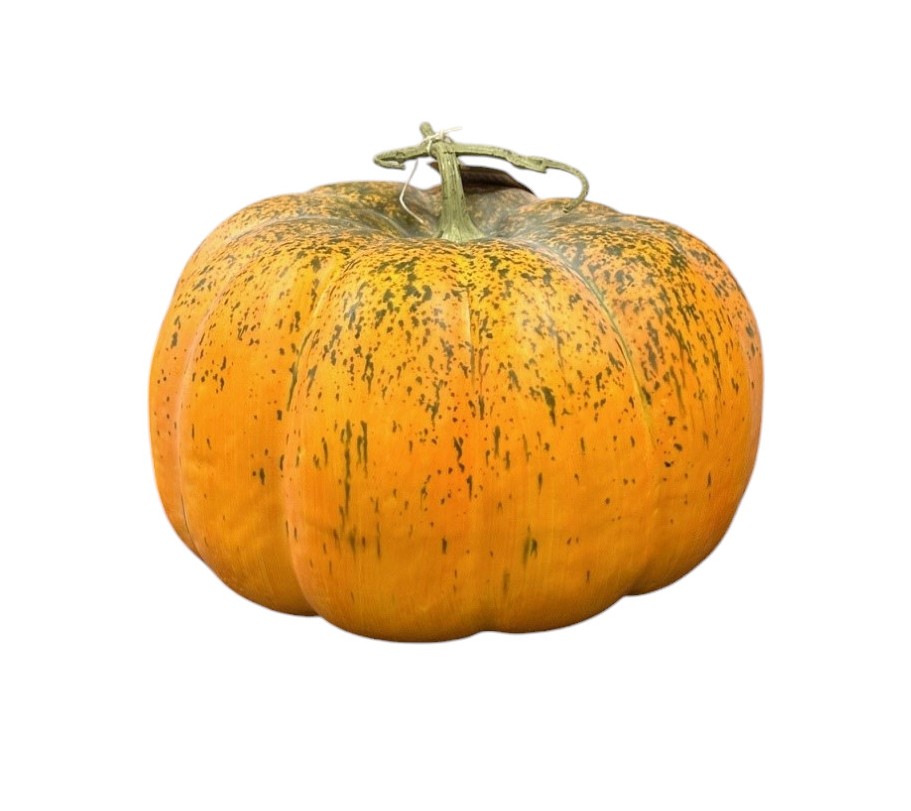Artificial Pumpkin - Green/Orange (33cm diameter)-0