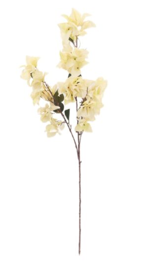 Dry Look Bougainvillea Spray - Cream (108cm long)-0