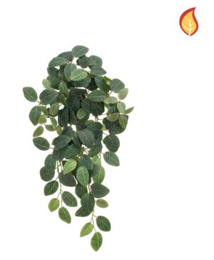 Fittonia Bush 54cm FR-0
