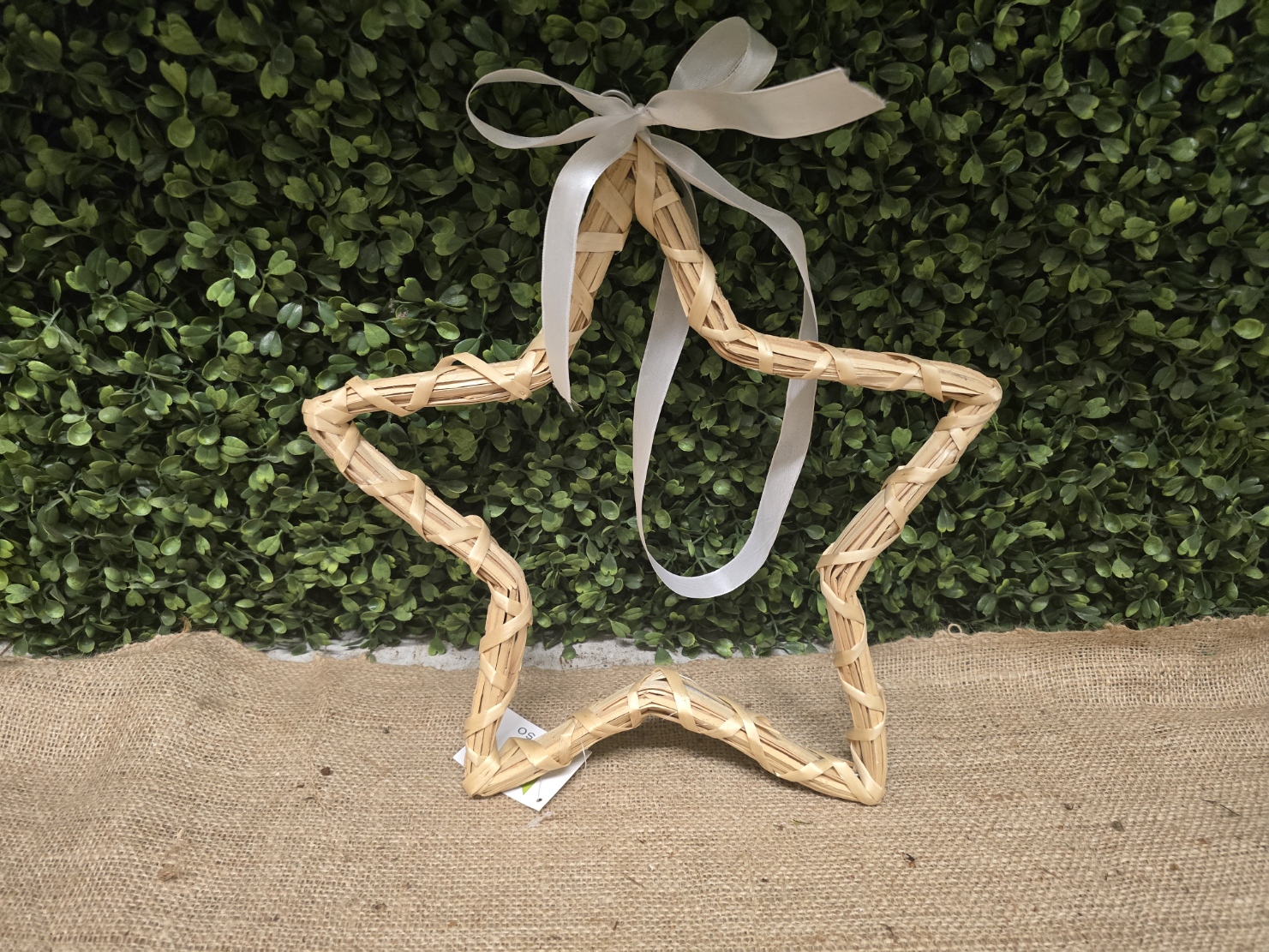 Natural Open Star 25cm