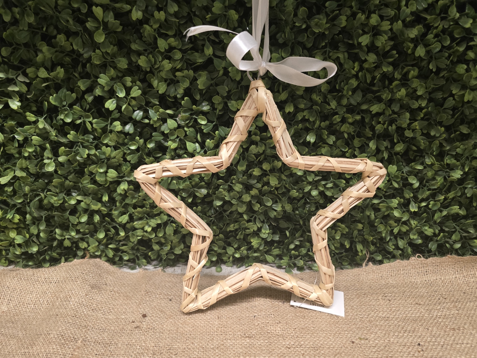 Natural Open Star 30cm