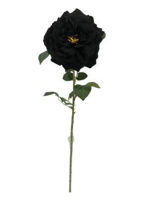 Single Velvet Open Rose - Black (75cm long)-0