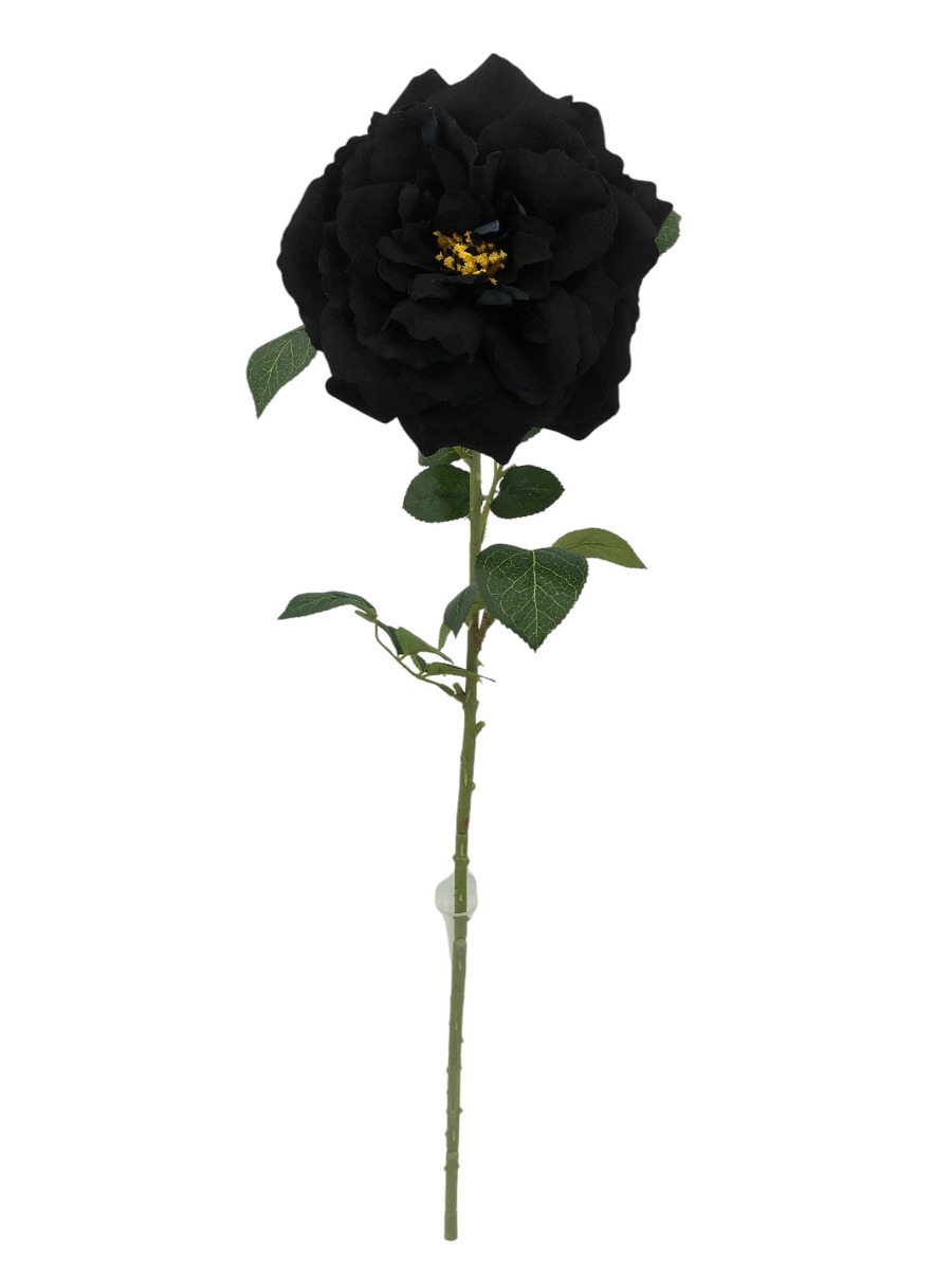 Single Velvet Open Rose - Black (75cm long)-0