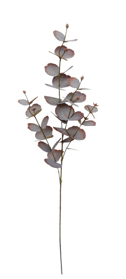 Artificial Spiral Eucalyptus Spray - Brown 87cm