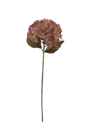 Dry Look Hydrangea - Pink (25cm diameter, 80cm long)-0