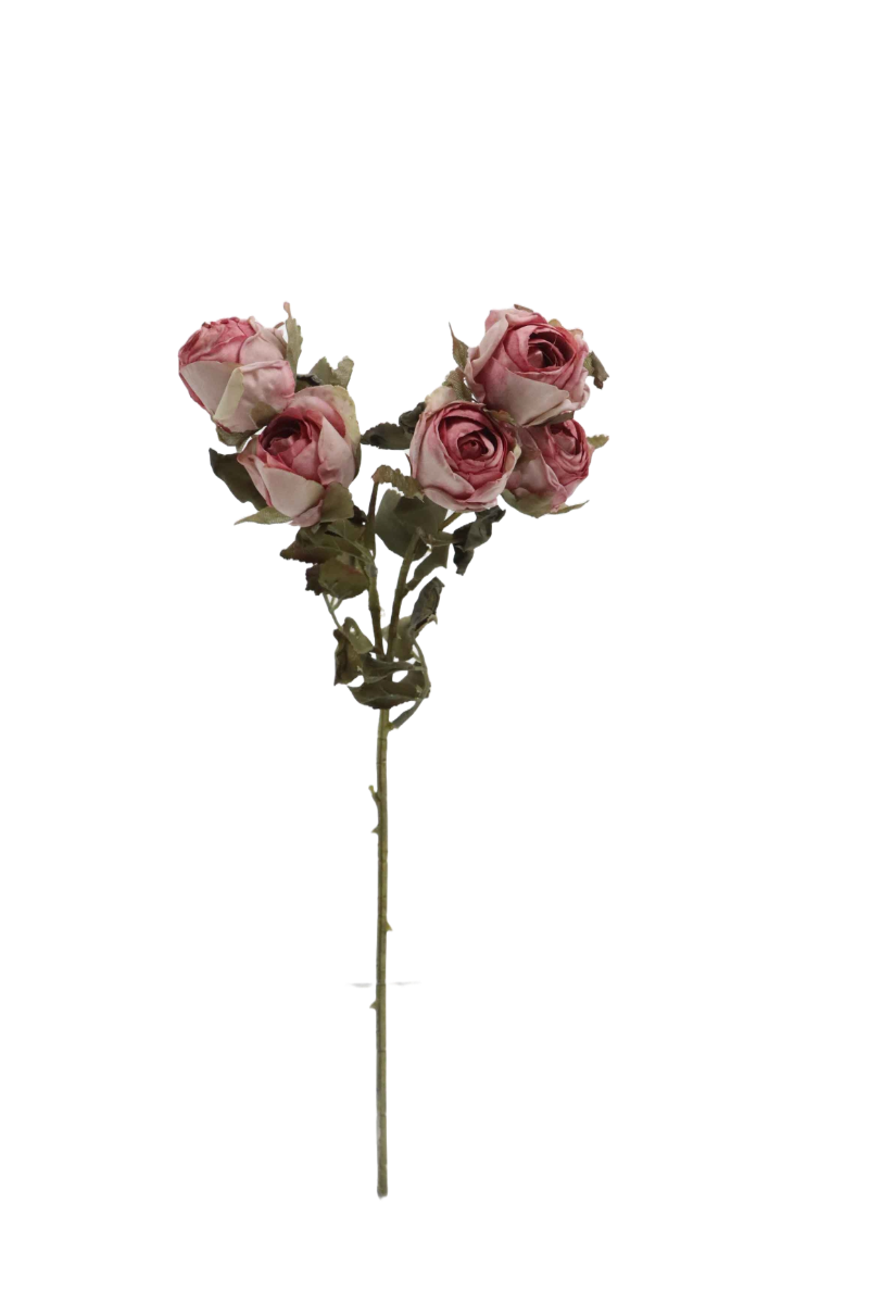 Artificial Dry Rose Bush - Pink (43cm long with 5 heads)-0