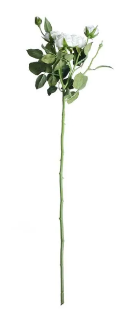 Camelot Garden Rose Bridal White-0